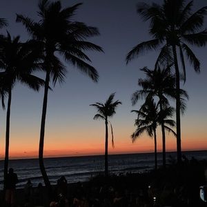 Meet your Posher, Sylvia